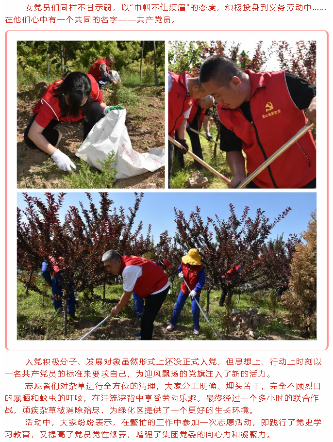 學(xué)黨史 辦實事 ——重山集團(tuán)黨委組織黨員志愿服務(wù)活動74