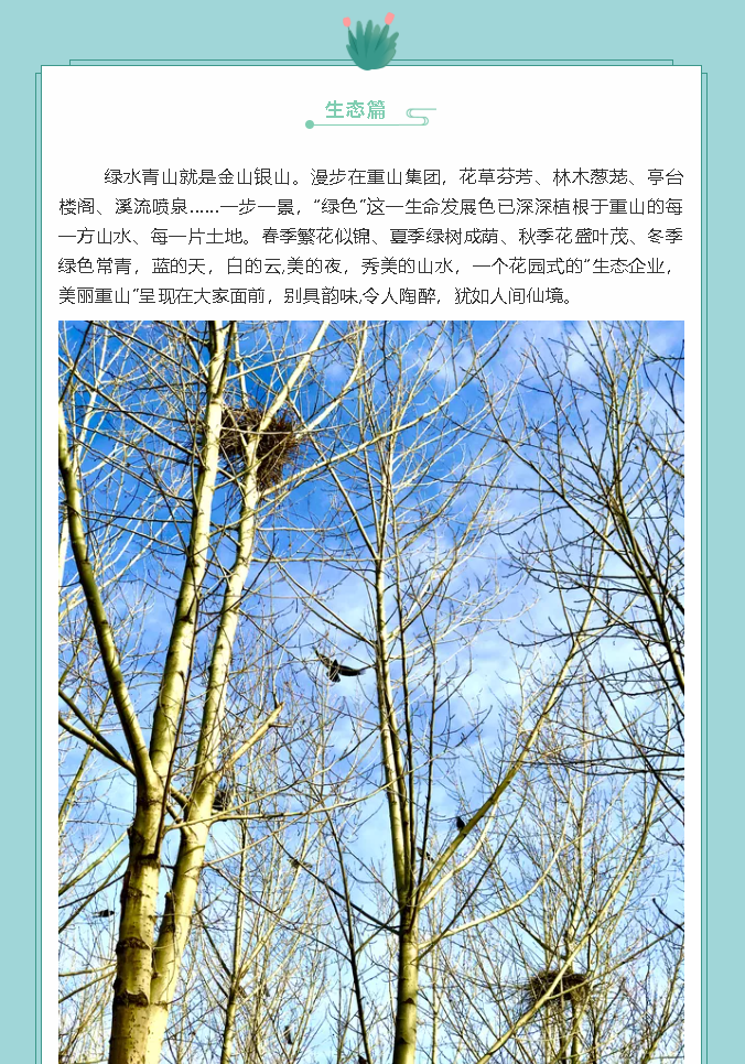 【鏡頭里的重山】邀您共賞重山之美！77