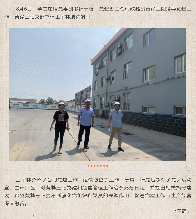 羊二莊鎮(zhèn)領(lǐng)導(dǎo)到黃驊三陽(yáng)指導(dǎo)黨建工作72
