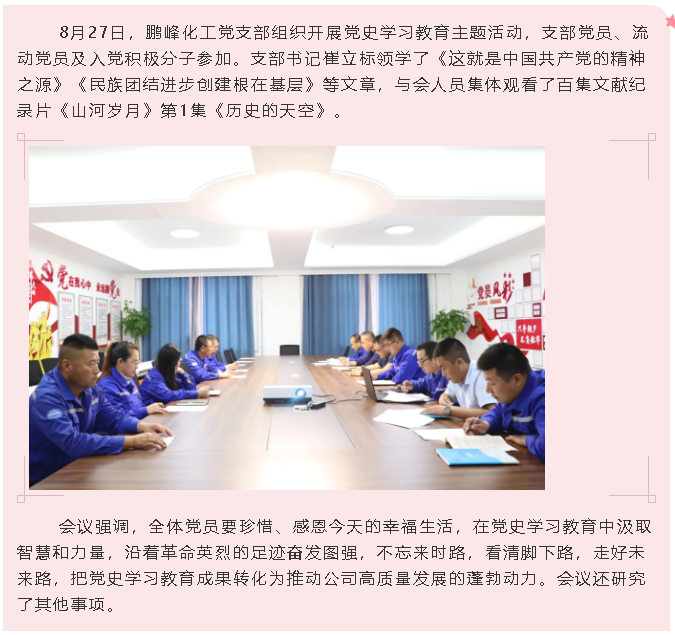 鵬峰化工黨支部開(kāi)展黨史學(xué)習(xí)教育主題活動(dòng)0