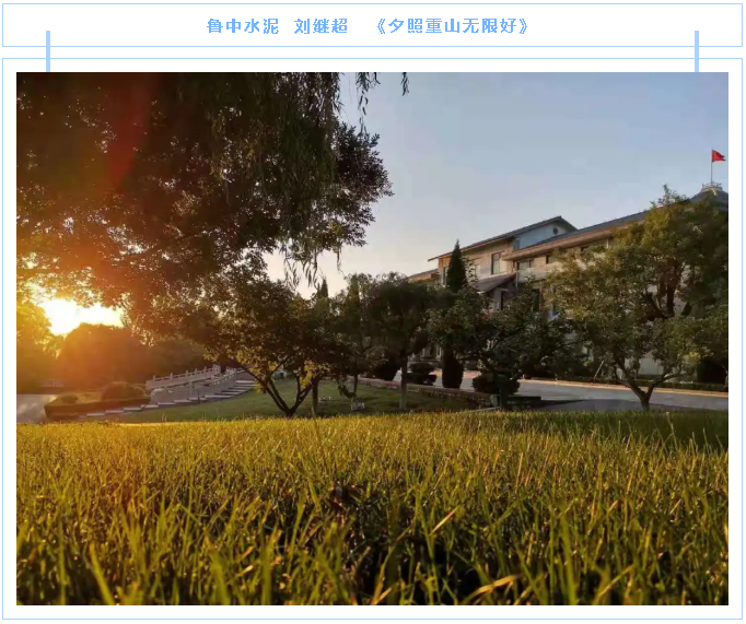 【魅力重山·幸福南韓】書(shū)畫(huà)攝影作品(三)16