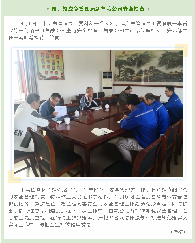市、旗應(yīng)急管理局到魯蒙公司安全檢查40