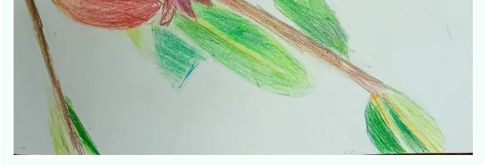 【魅力重山·幸福南韓】書畫攝影作品(六)37