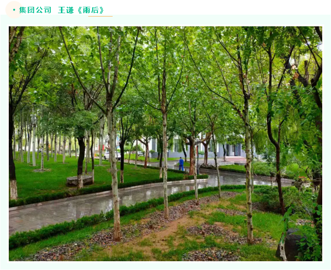 【魅力重山·幸福南韓】書畫攝影作品(六)37