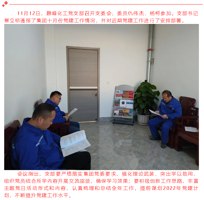 鵬峰化工黨支部召開支委會49