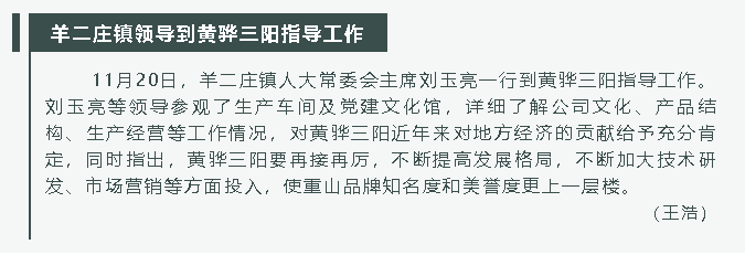 羊二莊鎮(zhèn)領(lǐng)導到黃驊三陽指導工作74