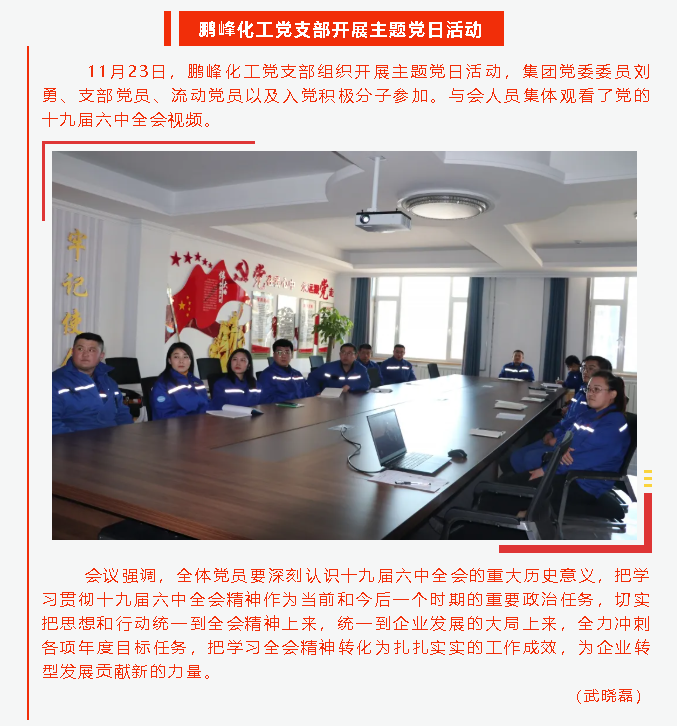 鵬峰化工黨支部開(kāi)展主題黨日活動(dòng)16